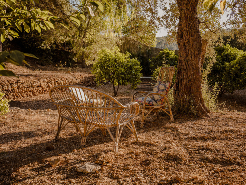 pluche74 tropische oase ibiza 45