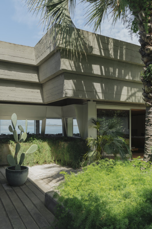 peluche74 turchese 1