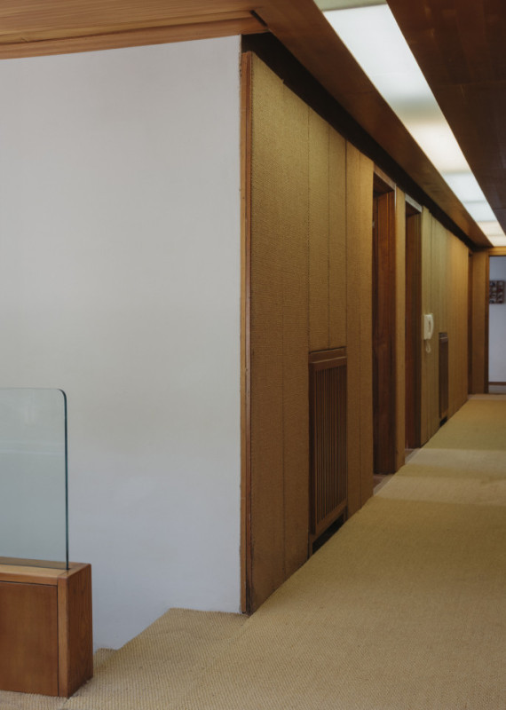 peluche74 turchese 14