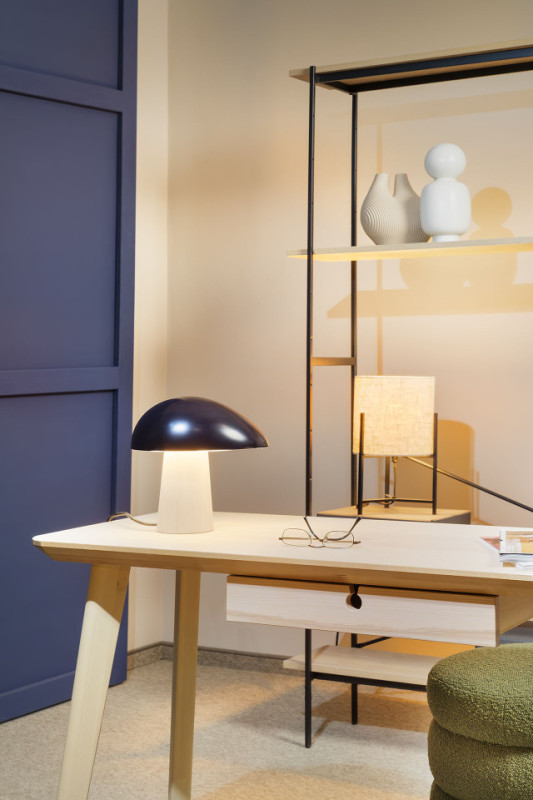 plush74 video studios 4