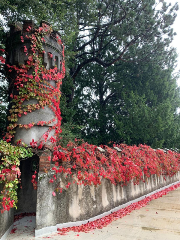 plush74 villa lucia 37