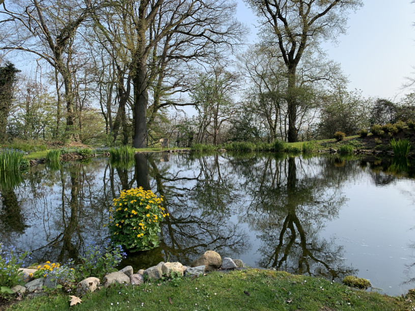 plush74 villa retreat 18