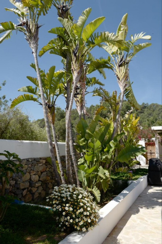 felpa74 villa con piscina ii ibiza 18