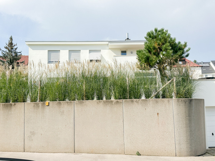 peluche74 casa bauhaus vintage 26(1)