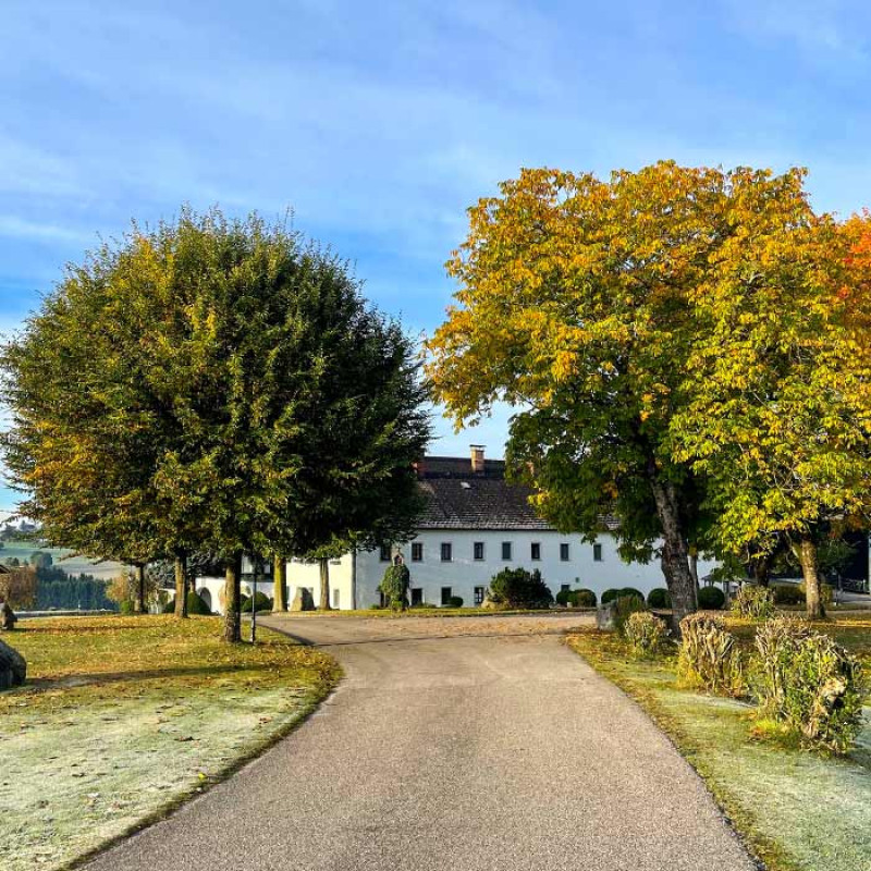 peluche74 winklergut 13