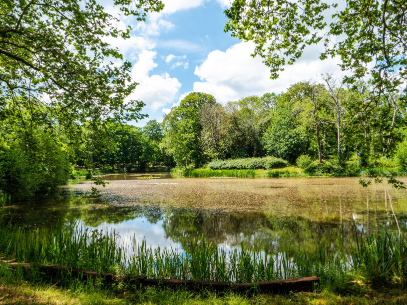 escuela st edwards lago21