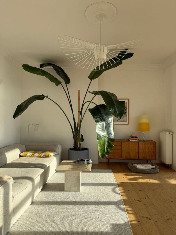 the big leaf apartment 12