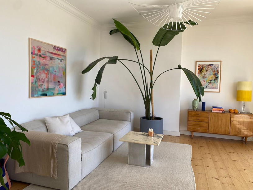 the big leaf apartment 5