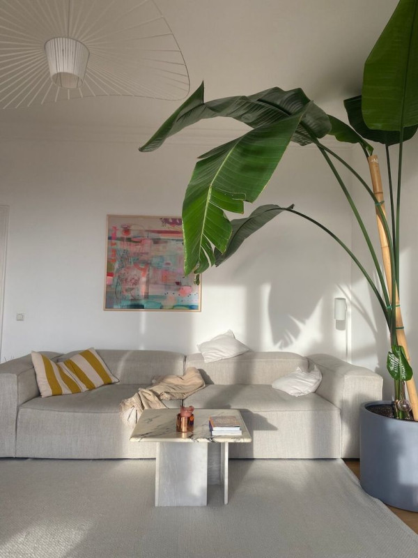 the big leaf apartment 6