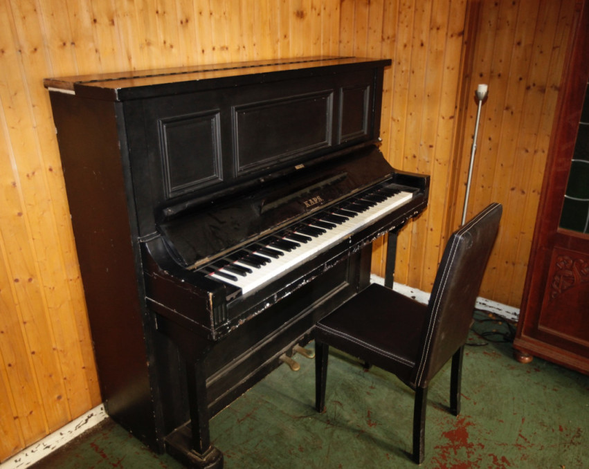 THE MUSIC ROOM