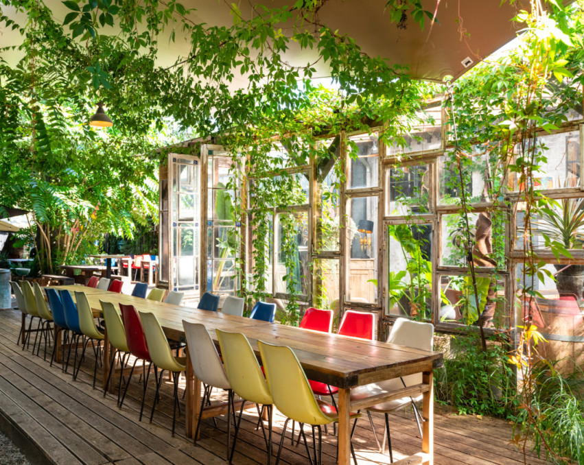GREEN OASIS