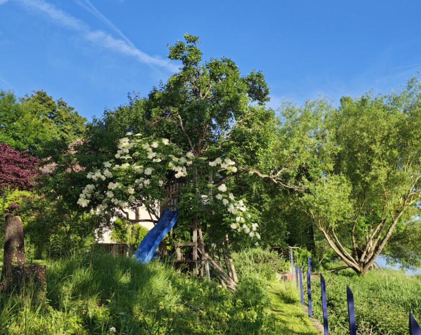 PRIVATE GARDEN IN AARGAU